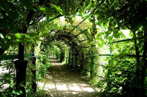 pergola w ogrodzie